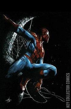 Variant Cover for Non-Stop Spider-Man #1