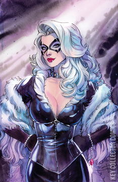 Variant Cover for Black Cat #9