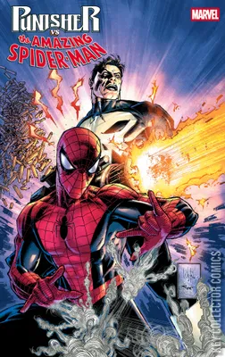 Punisher vs Spider-Man