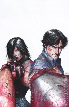 Variant Cover for Army of Darkness vs. Hack / Slash #1