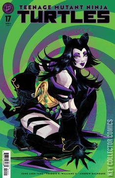 Variant Cover for Teenage Mutant Ninja Turtles #17