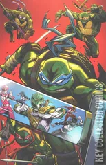 Variant Cover for Mighty Morphin Power Rangers / Teenage Mutant Ninja Turtles #4
