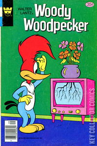 Woody Woodpecker #170