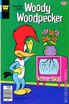 Variant Cover for Woody Woodpecker #170