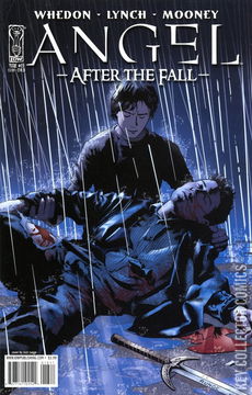 Variant Cover for Angel: After the Fall #13