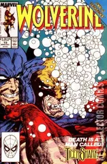 Cover for Wolverine #19