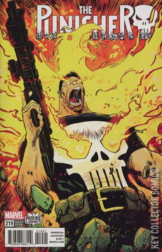 Variant Cover for Punisher #219