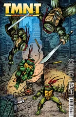 Variant Cover for Teenage Mutant Ninja Turtles: Journeys #1