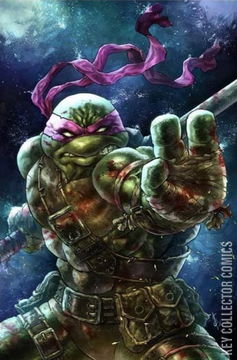 Variant Cover for Teenage Mutant Ninja Turtles: The Last Ronin #3