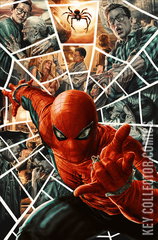 Variant Cover for Amazing Spider-Man #11