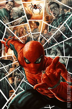 Variant Cover for Amazing Spider-Man #11