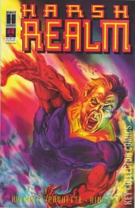 Harsh Realm #4