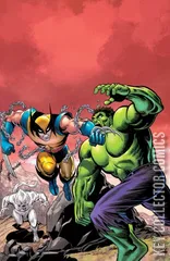 Variant Cover for Hulk #6