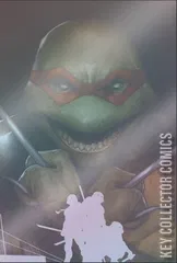 Variant Cover for Teenage Mutant Ninja Turtles: Boxed Set - Torpedo Comics