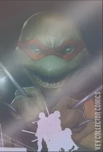 Teenage Mutant Ninja Turtles: Boxed Set - Torpedo Comics