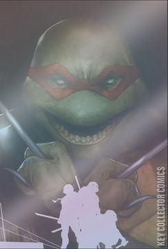 Variant Cover for Teenage Mutant Ninja Turtles: Boxed Set - Torpedo Comics