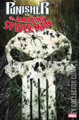 Cover for Punisher vs Spider-Man #2