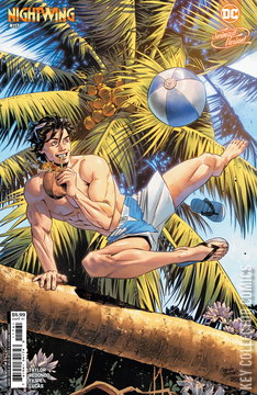 Variant Cover for Nightwing #117