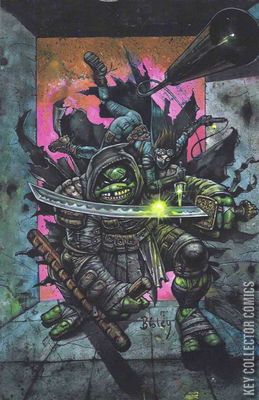Teenage Mutant Ninja Turtles: The Last Ronin