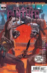 Cover for Black Panther #13