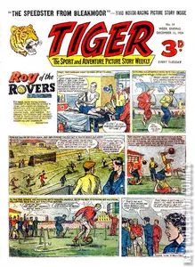 Tiger #14