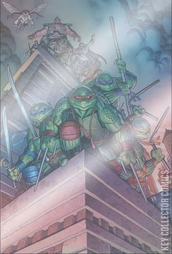 Variant Cover for Teenage Mutant Ninja Turtles: Boxed Set - Torpedo Comics