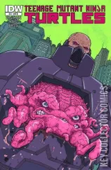 Variant Cover for Teenage Mutant Ninja Turtles #19
