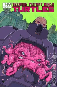 Teenage Mutant Ninja Turtles #19