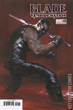 Variant Cover for Blade: Vampire Nation #1