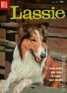 Lassie #40