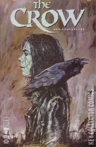 Crow #9