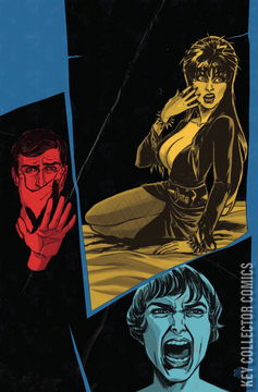 Variant Cover for Elvira In Horrorland #1