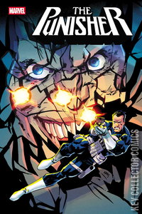 Punisher #4