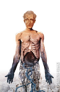 Variant Cover for Lotus Land #2