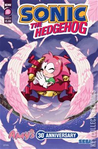 Sonic the Hedgehog: Amy's 30th Anniversary #1