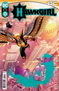 Hawkgirl #2
