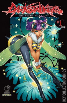 Variant Cover for Darkstalkers: The Night Warriors #1