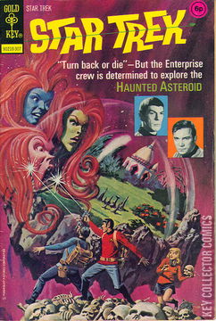 Variant Cover for Star Trek #19