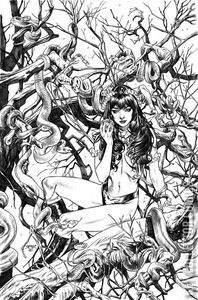 Vengeance of Vampirella #19 