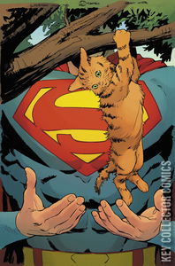 Superman Unlimited