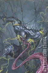 Variant Cover for All-New Venom #2
