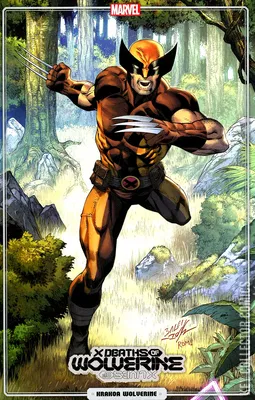 X Deaths of Wolverine