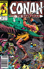 Variant Cover for Conan the Barbarian #212