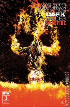 Variant Cover for Dark Spaces: Wildfire #3