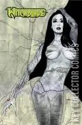 Variant Cover for Witchblade #178