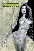 Variant Cover for Witchblade #178