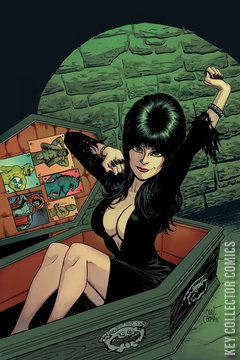 Variant Cover for Elvira: Mistress of the Dark #12