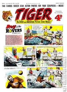 Tiger #212