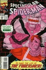 Cover for Peter Parker: The Spectacular Spider-Man #210