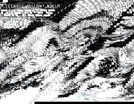 Variant Cover for Teenage Mutant Ninja Turtles #143